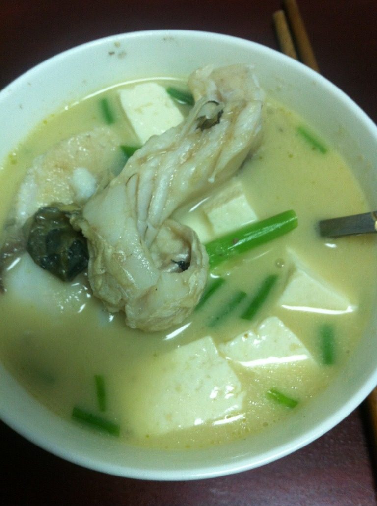 豆腐鱼头汤