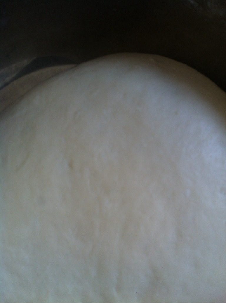 猪肉卷,<a style='color:red;display:inline-block;' href='/shicai/ 519'>面粉</a>加入适量发酵粉，加入温水和成面团，等待发酵