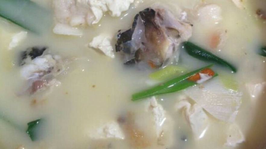 鱼头豆腐汤