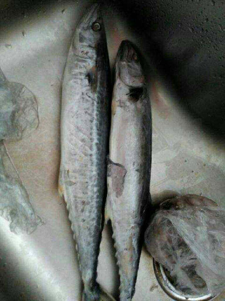 蔬菜蒸鱼,做鱼丸我选择<a style='color:red;display:inline-block;' href='/shicai/ 398'>鲅鱼</a>