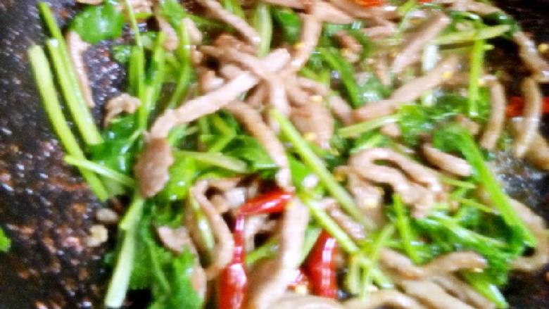 香菜肉丝,加入香菜,辣椒,葱花和蒜末,适量盐和味精。