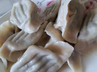 蒲公英馅饺子