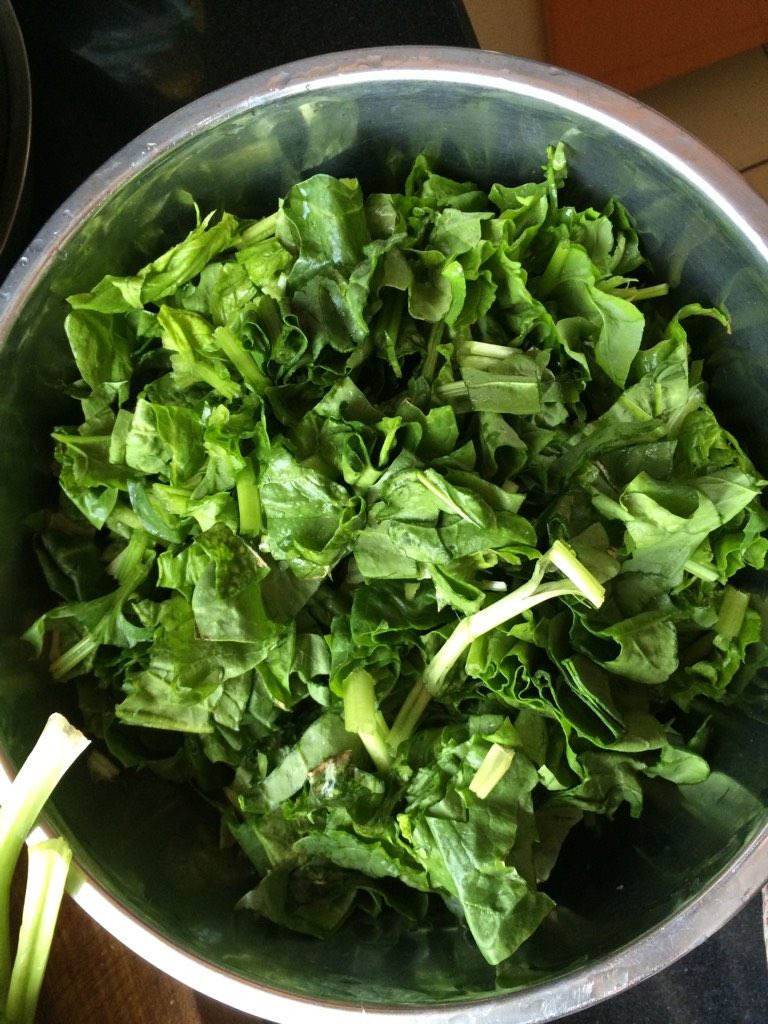 菠菜团子,如图切成小段拌入少许食盐，搅拌均匀