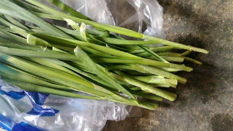 韭菜猪肉馅饺子,<a style='color:red;display:inline-block;' href='/shicai/ 414'>猪肉</a>搅成肉糜，<a style='color:red;display:inline-block;' href='/shicai/ 116'>韭菜</a>洗净切碎