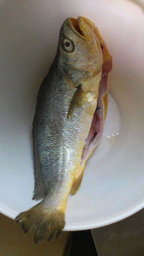 苦瓜黄鱼汤,<a style='color:red;display:inline-block;' href='/shicai/ 394'>黄花鱼</a>洗净，抹点盐稍微腌一下，这样鱼肉比较不易烂