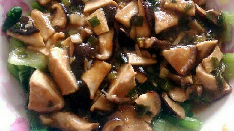 香菇油菜,<a style='color:red;display:inline-block;' href='/shicai/ 115'>油菜</a>铺在盘子底，把香菇铺在上面，加少量<a style='color:red;display:inline-block;' href='/shicai/ 847'>香油</a>即可