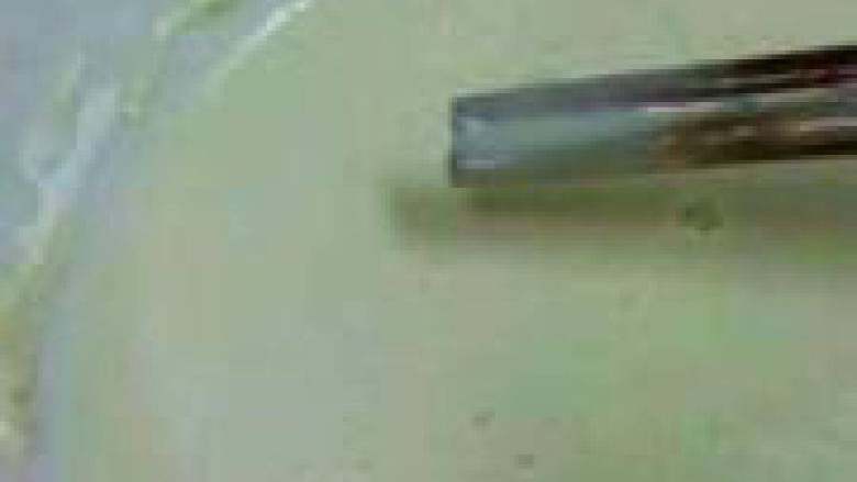 糖醋里脊,调个糊,淀粉:面粉:水的比例是2:4:8,再加点蛋清打均匀,待用