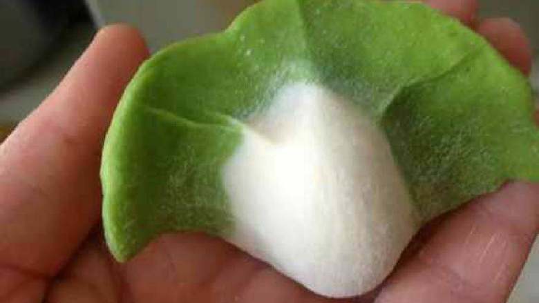 翡翠饺子,然后将饺子皮放在两手食指上,用两个大拇指往食指上推一下,两个虎口处用力一挤。一个漂亮的大白菜形水饺就做好了。