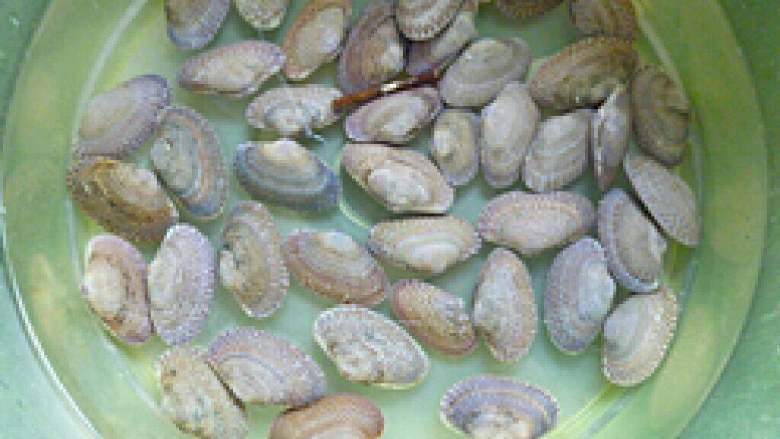 辣炒花蛤,<a style='color:red;display:inline-block;' href='/shicai/ 1816'>花蛤</a>用淡盐水泡一晚,使其吐沙,洗干净