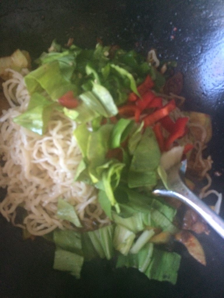 母亲节为妈妈做的美食：【羊肉时蔬炒面】,如图加入面条，青菜，青红椒