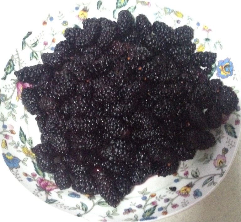 桑葚果酱,<a style='color:red;display:inline-block;' href='/shicai/ 621'>桑葚</a>洗净，去杆，我用有榨汁功能的豆浆机做的，放入豆浆机，加入1L水，2勺<a style='color:red;display:inline-block;' href='/shicai/ 865'>蜂蜜</a>，按下果汁键