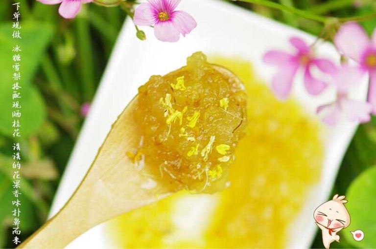冰糖雪梨桂花蜜,准备冰糖，一起放进炖锅隔水炖9个小时。期间不停的搅拌