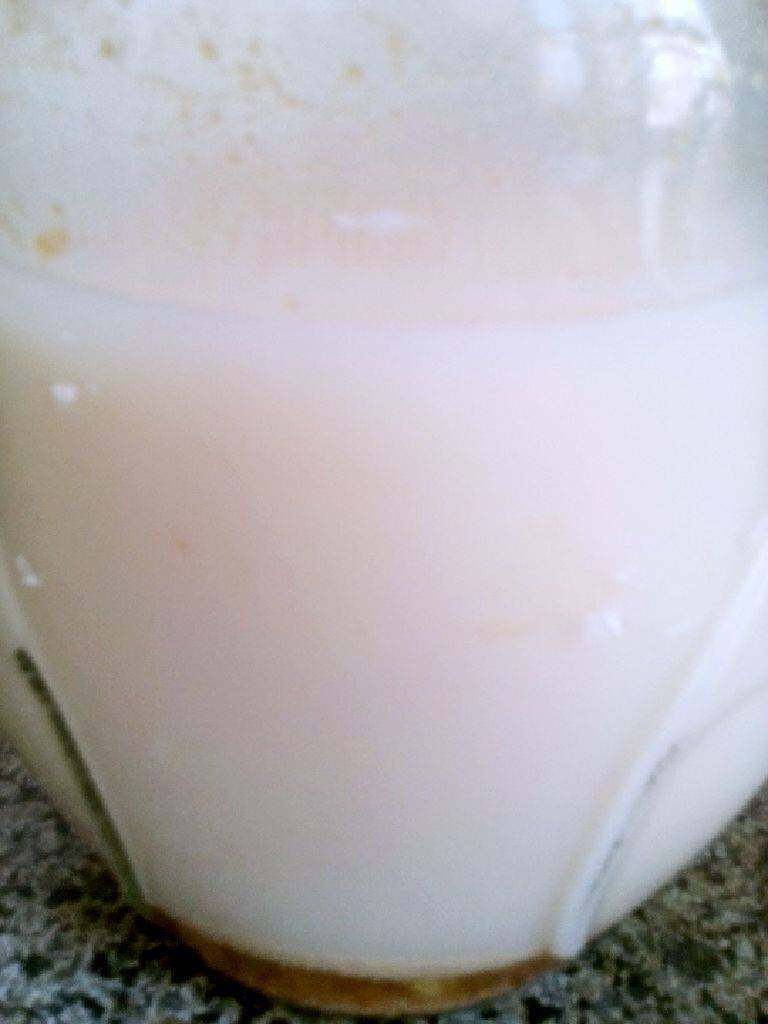 熬猪油,晾凉后的猪油,呈乳白色。