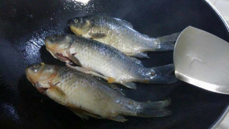 番茄鲫鱼汤,干锅锅底用姜涂抹(可以防止鱼粘锅)后,锅里放入适量猪油,烧热后放入鲫鱼煎。