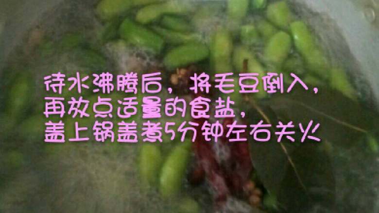 五香毛豆,水沸腾后将毛豆倒入,再加入适当的食用盐,盖上锅盖煮5分钟左右关火