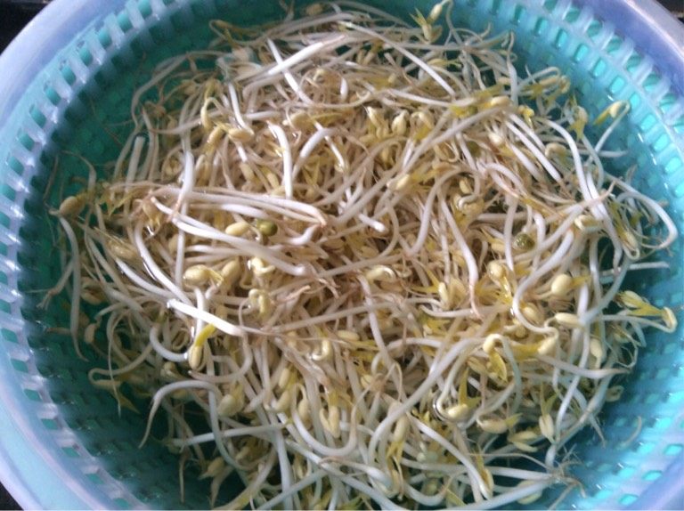 绿豆芽炒粉丝,<a style='color:red;display:inline-block;' href='/shicai/ 133'>绿豆芽</a>洗干净