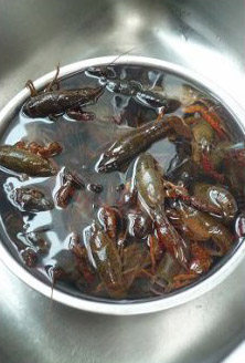 龙虾盖浇饭,<a style='color:red;display:inline-block;' href='/shicai/ 285'>小龙虾</a>洗净后用加了两勺盐的清水泡10分钟,然后再漂洗至水清。