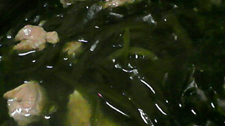 海带排骨汤