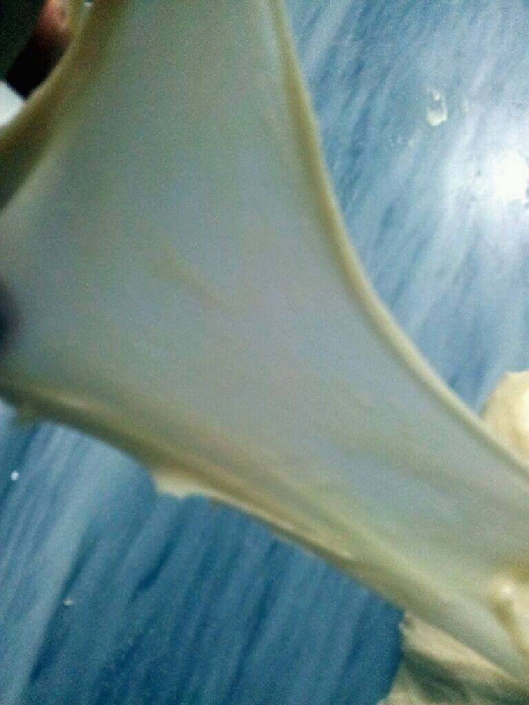 牛奶面包,松查面团是否拉出透明薄膜，进行基础发酵1小时至面2倍大