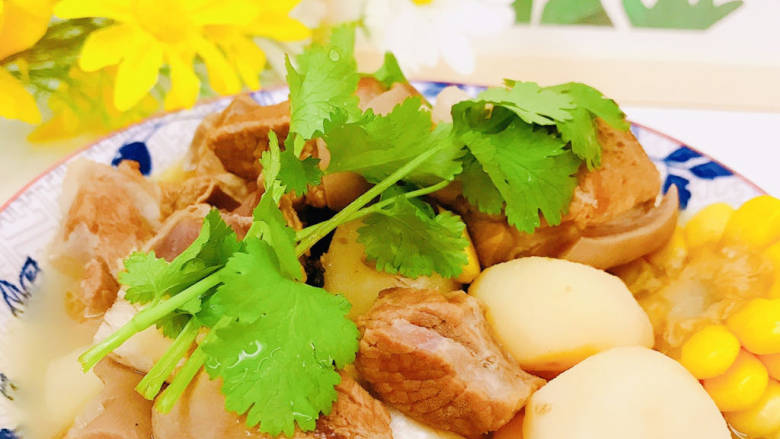 清炖羊肉,装入容器中,撒上香菜食用