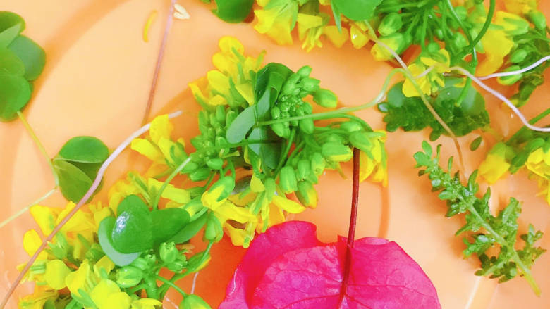 #闹元宵#鲜花饺子,提前洗干净的“装饰品”